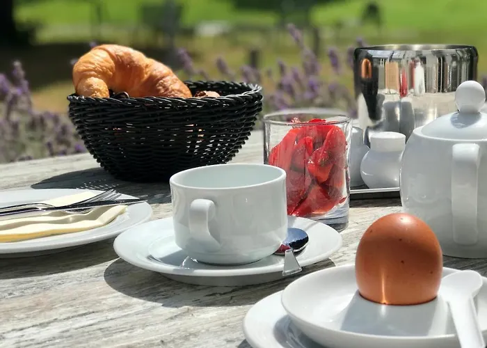 Bfwhotel Und Tagungszentrum Отель